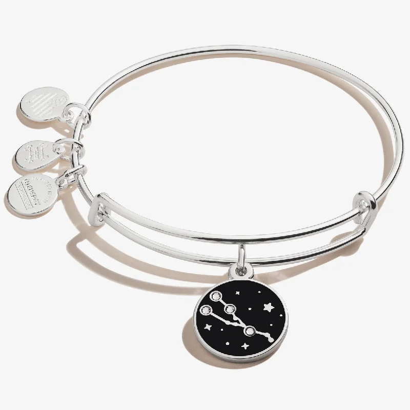 Taurus Zodiac Charm Bangle